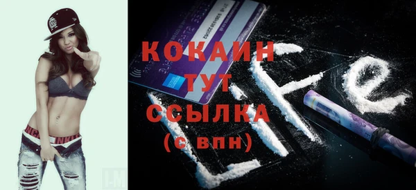 индика Медвежьегорск