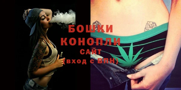 хмурый Мегион