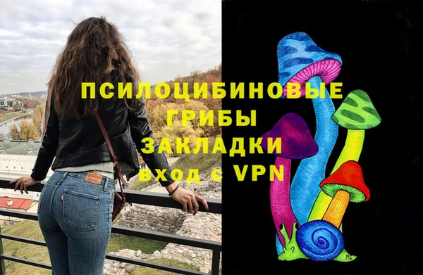 Альфа ПВП Медногорск