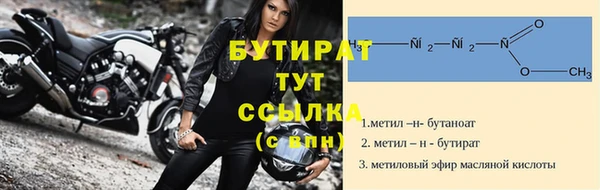 индика Медвежьегорск