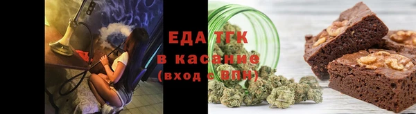 индика Медвежьегорск