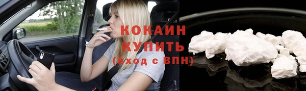 хмурый Мегион