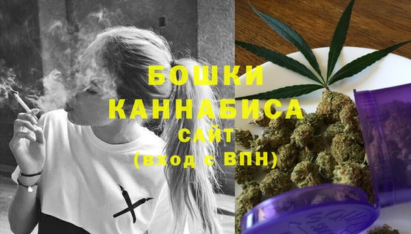 индика Медвежьегорск