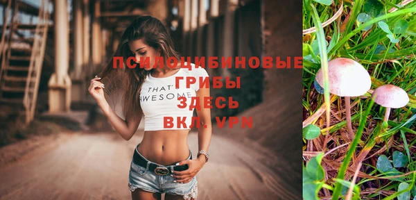 индика Медвежьегорск