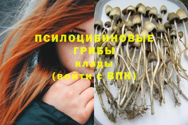 индика Медвежьегорск