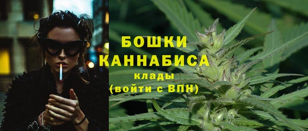 индика Медвежьегорск