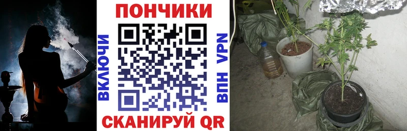 где купить   Шагонар  Марихуана MAZAR 